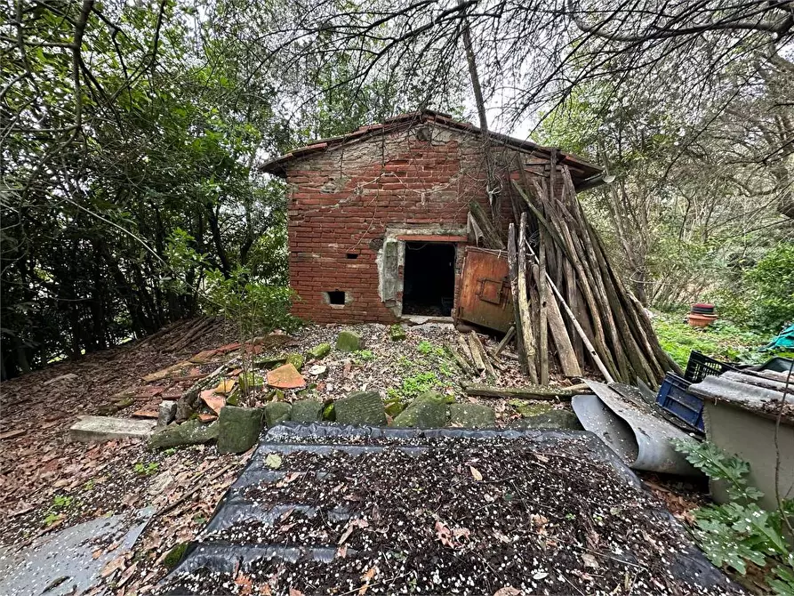 Immagine 23 di Rustico / casale in vendita  in via dell'anfrione a Capannori