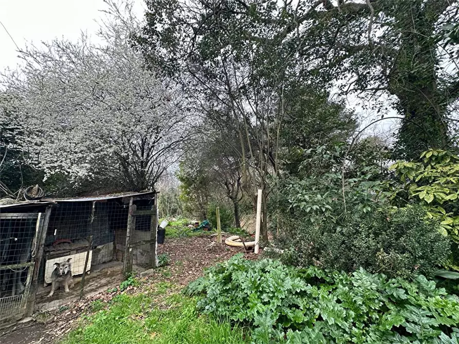 Immagine 27 di Rustico / casale in vendita  in via dell'anfrione a Capannori