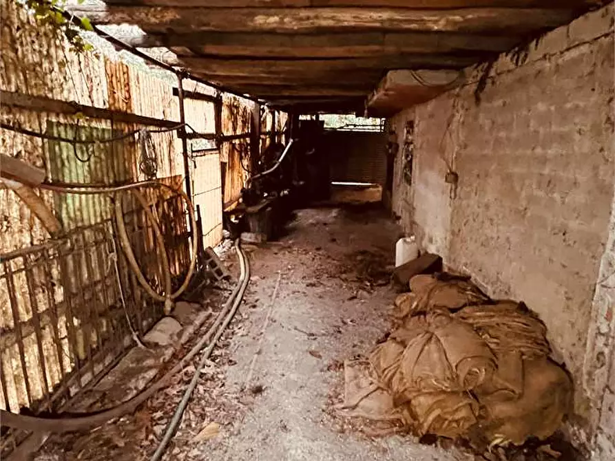 Immagine 6 di Capannone industriale in vendita  a Capannori