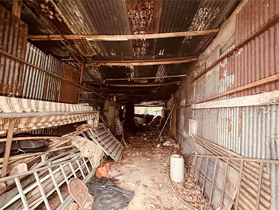 Immagine 3 di Capannone industriale in vendita  a Capannori