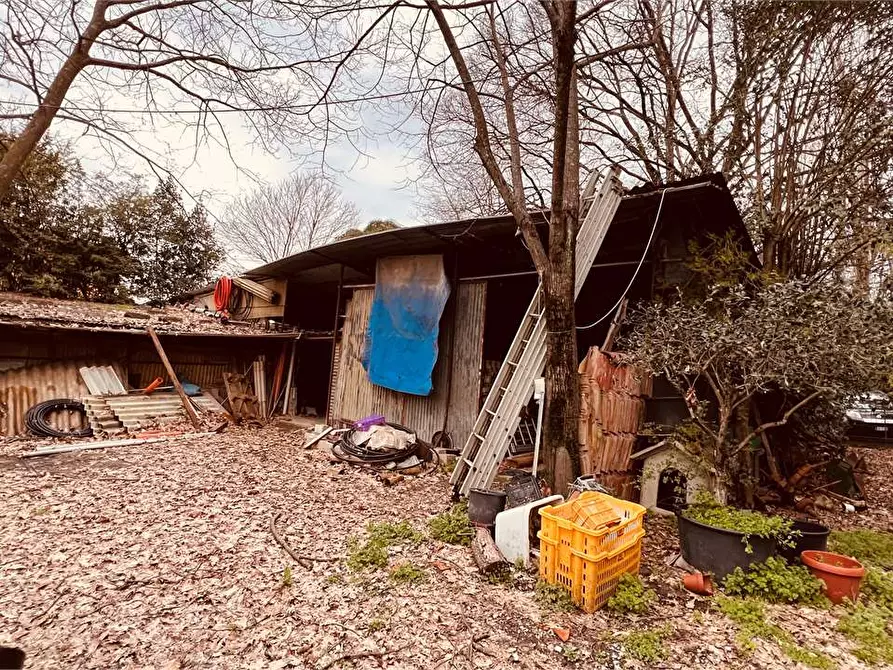 Immagine 4 di Capannone industriale in vendita  a Capannori