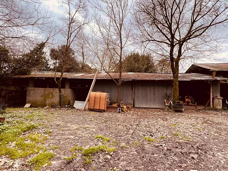 Immagine 5 di Capannone industriale in vendita  a Capannori