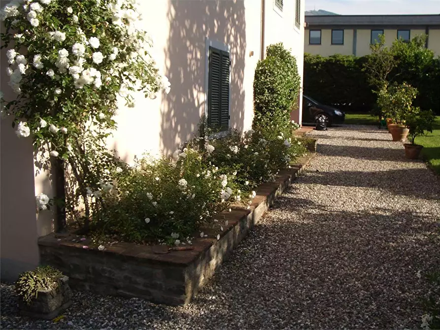Immagine 4 di Villa in vendita  a Capannori