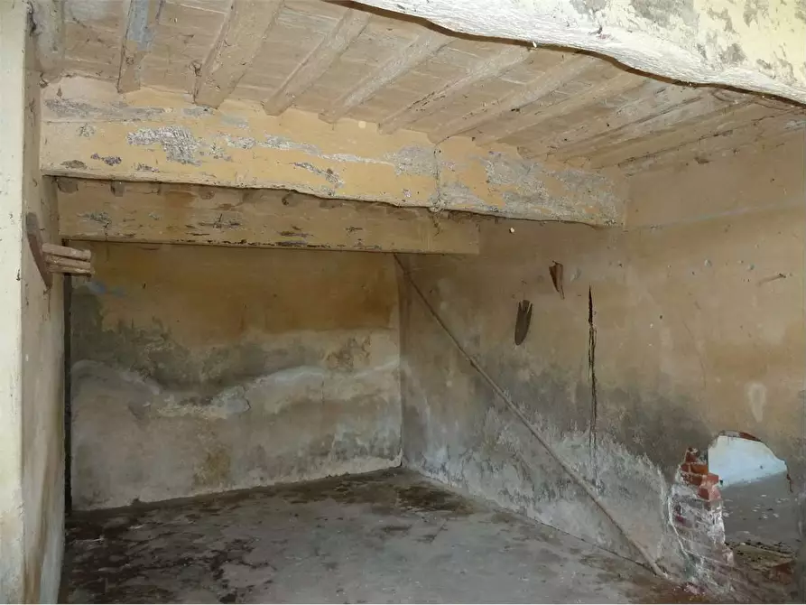 Immagine 14 di Rustico / casale in vendita  in montecarlo a Montecarlo