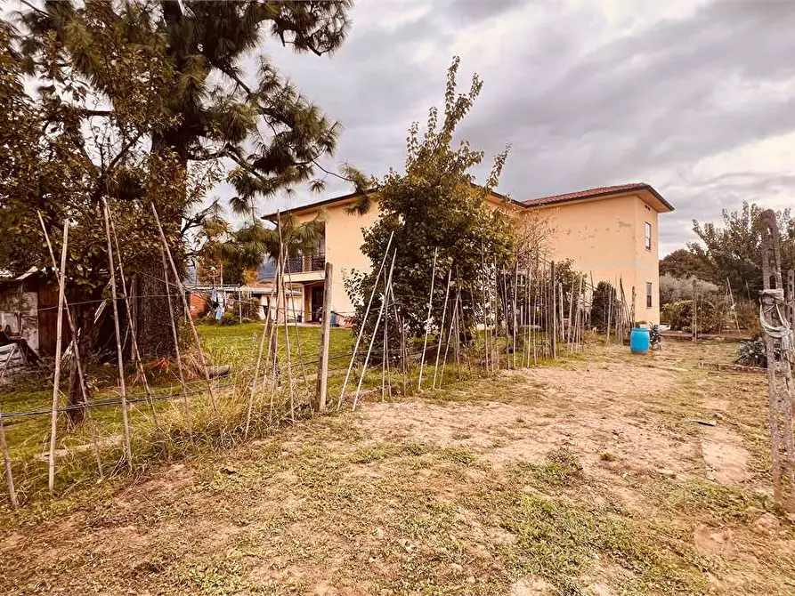 Immagine 1 di Casa bifamiliare in vendita  in Via del Fannuccio a Capannori