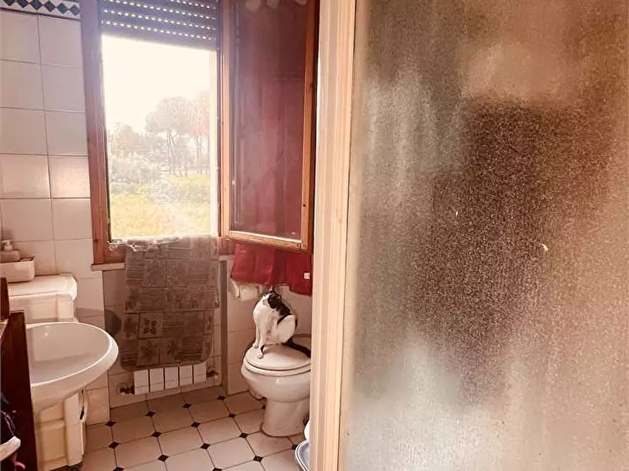 Immagine 9 di Appartamento in vendita  in viale san concordio a Lucca