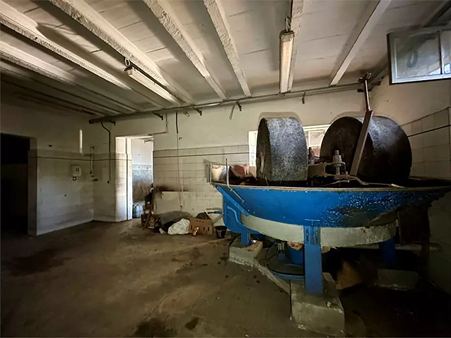 Immagine 29 di Casa indipendente in vendita  in via di matraia a Capannori