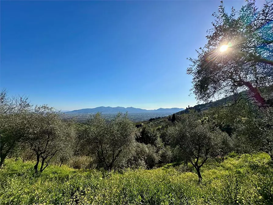 Immagine 39 di Casa indipendente in vendita  in via di matraia a Capannori