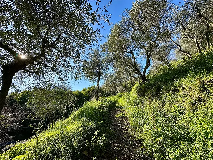 Immagine 40 di Casa indipendente in vendita  in via di matraia a Capannori