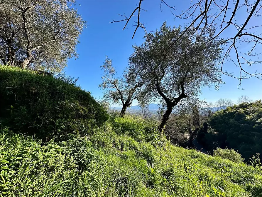 Immagine 41 di Casa indipendente in vendita  in via di matraia a Capannori