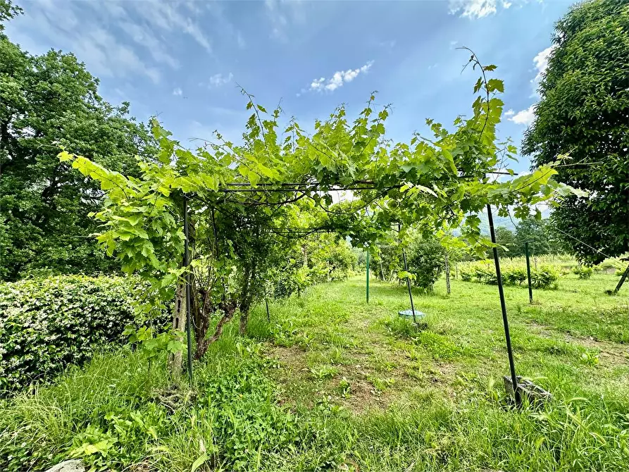 Immagine 39 di Porzione di casa in vendita  in via carlo del Prete a Capannori