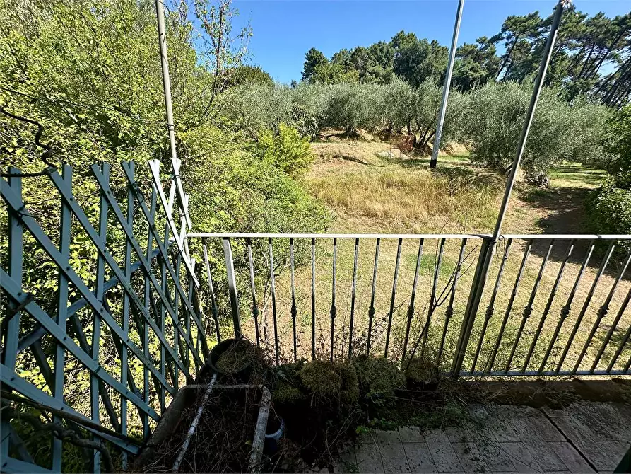 Immagine 6 di Appartamento in vendita  in via del tredici a Montecarlo