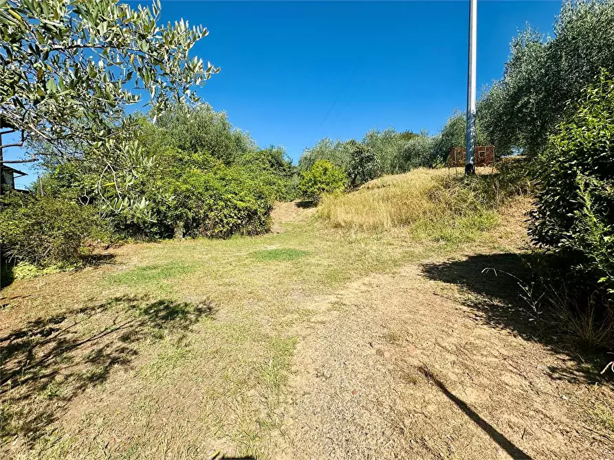 Immagine 30 di Appartamento in vendita  in via del tredici a Montecarlo