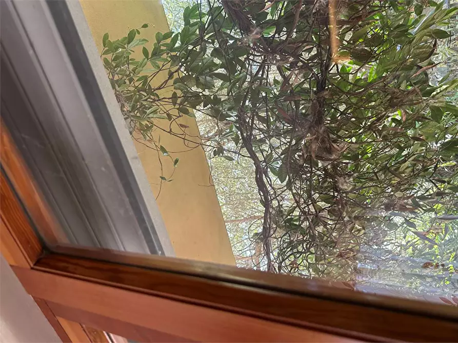 Immagine 38 di Casa bifamiliare in vendita  in via dei massagli a Lucca