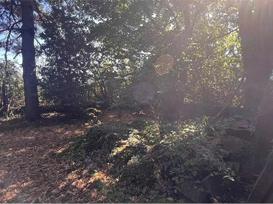 Immagine 4 di Casa bifamiliare in vendita  in porcari a Porcari