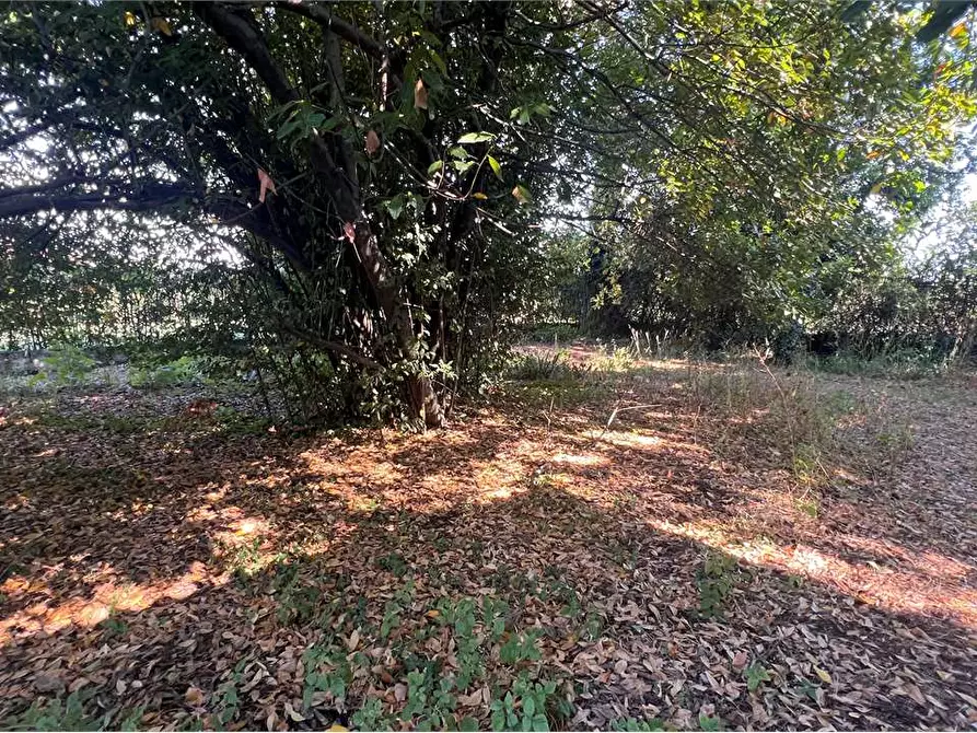 Immagine 2 di Casa bifamiliare in vendita  in porcari a Porcari