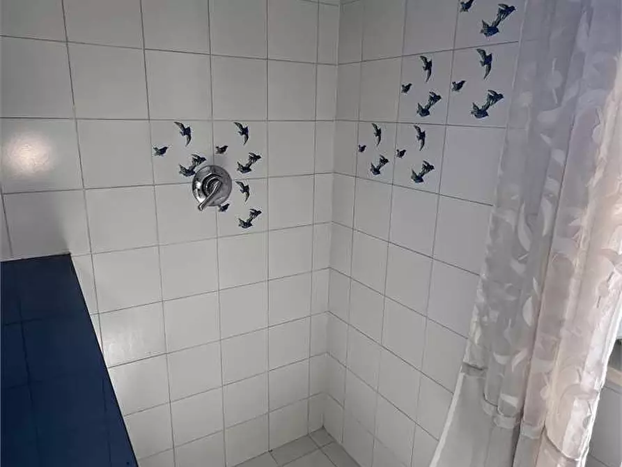 Immagine 21 di Porzione di casa in vendita  in San Ginese a Capannori