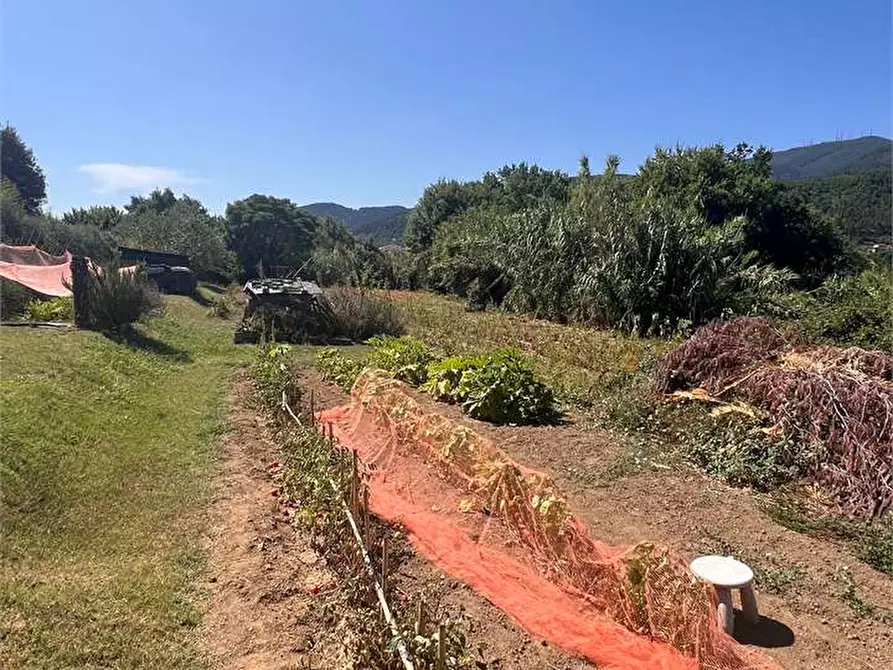 Immagine 7 di Porzione di casa in vendita  in San Ginese a Capannori