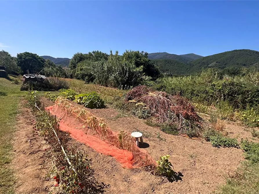 Immagine 40 di Porzione di casa in vendita  in San Ginese a Capannori