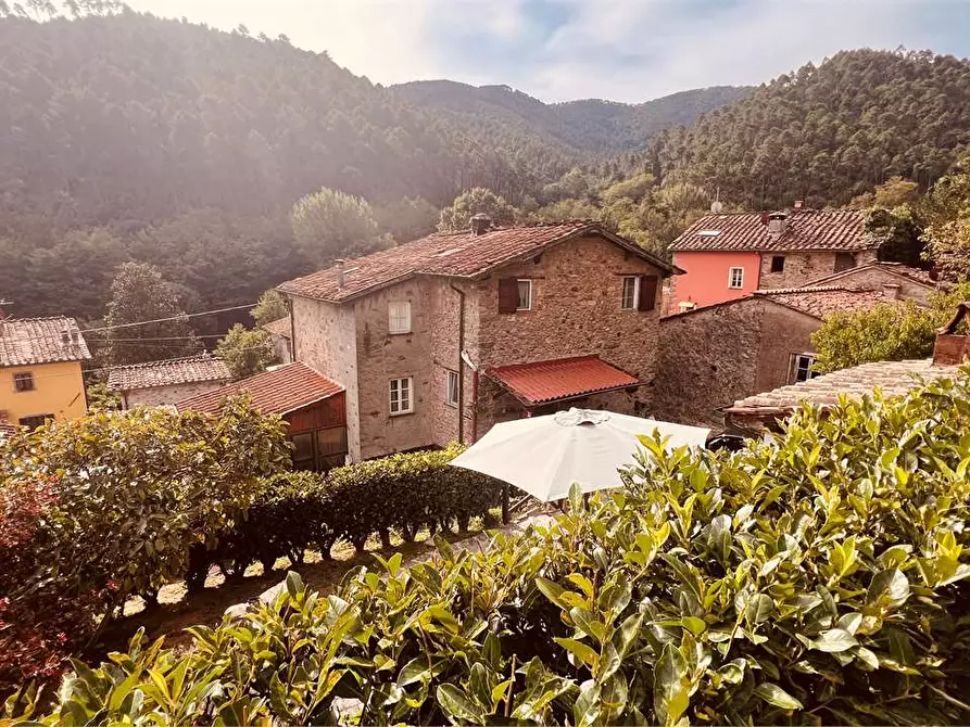 Immagine 22 di Rustico / casale in vendita  in via della torre a Capannori