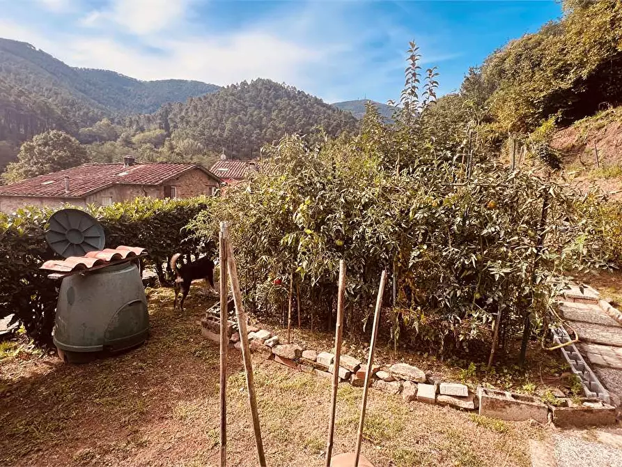 Immagine 24 di Rustico / casale in vendita  in via della torre a Capannori