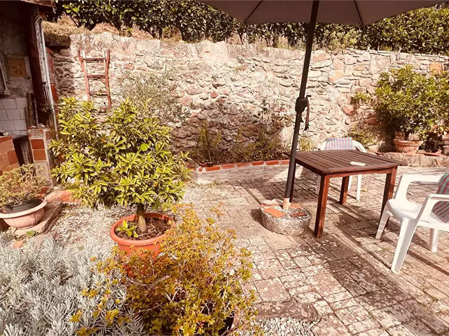 Immagine 29 di Rustico / casale in vendita  in via della torre a Capannori