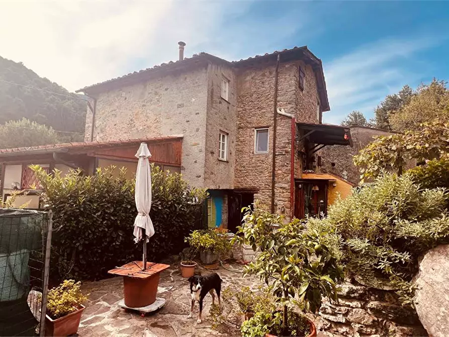 Immagine 17 di Rustico / casale in vendita  in via della torre a Capannori