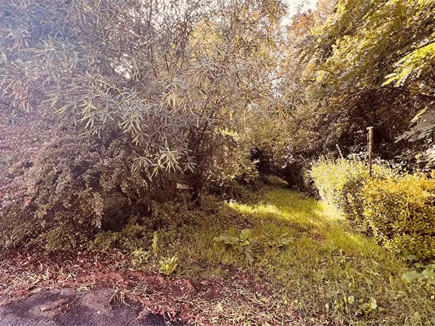 Immagine 22 di Porzione di casa in vendita  in via delle ville 493 a Capannori