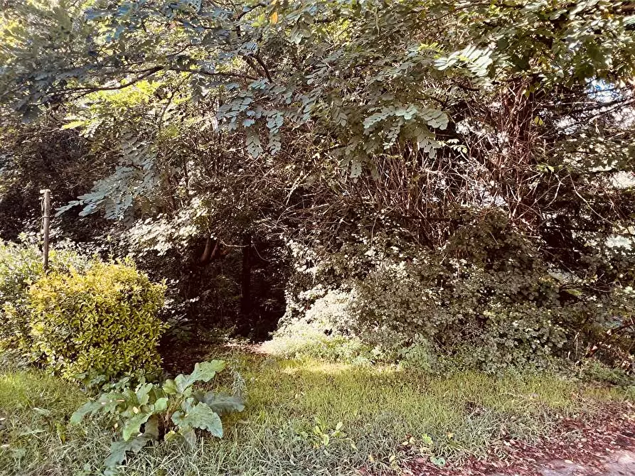 Immagine 23 di Porzione di casa in vendita  in via delle ville 493 a Capannori