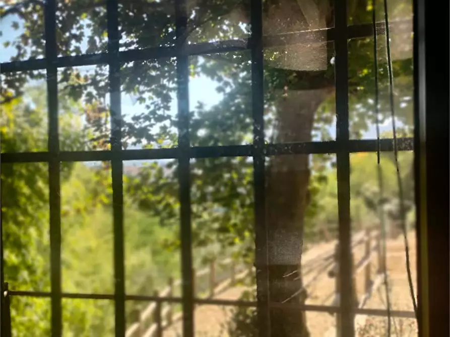 Immagine 24 di Casa indipendente in vendita  in Barga a Barga