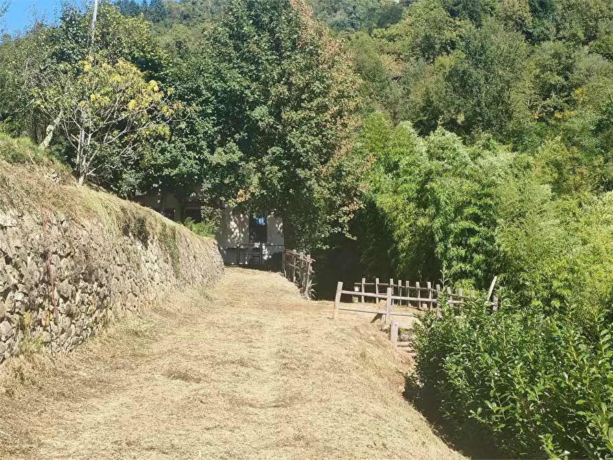 Immagine 21 di Casa indipendente in vendita  in Barga a Barga