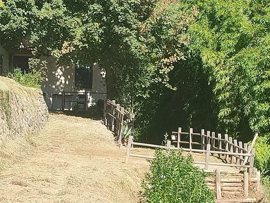 Immagine 20 di Casa indipendente in vendita  in Barga a Barga