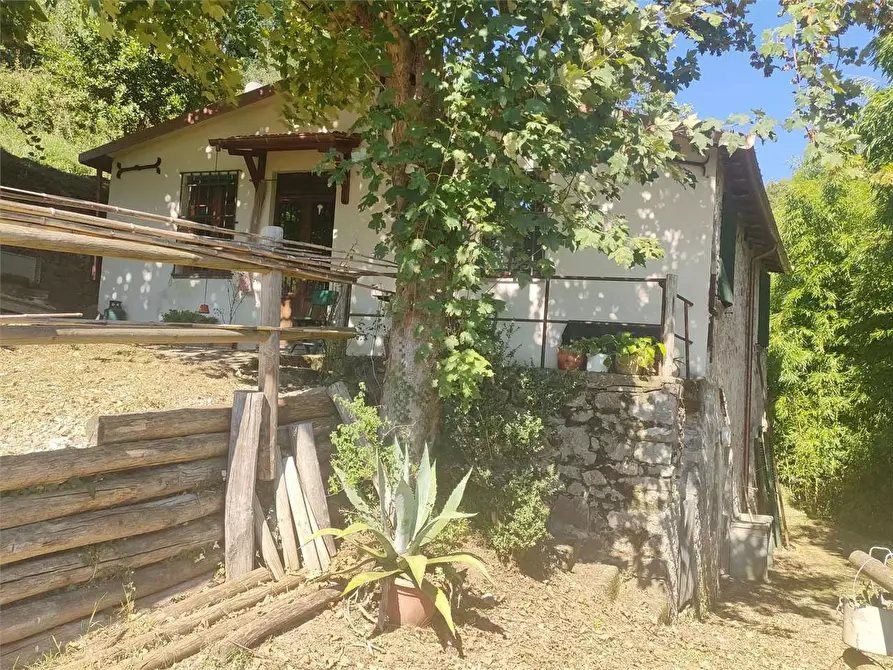 Immagine 17 di Casa indipendente in vendita  in Barga a Barga