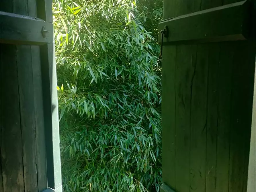 Immagine 49 di Casa indipendente in vendita  in Barga a Barga