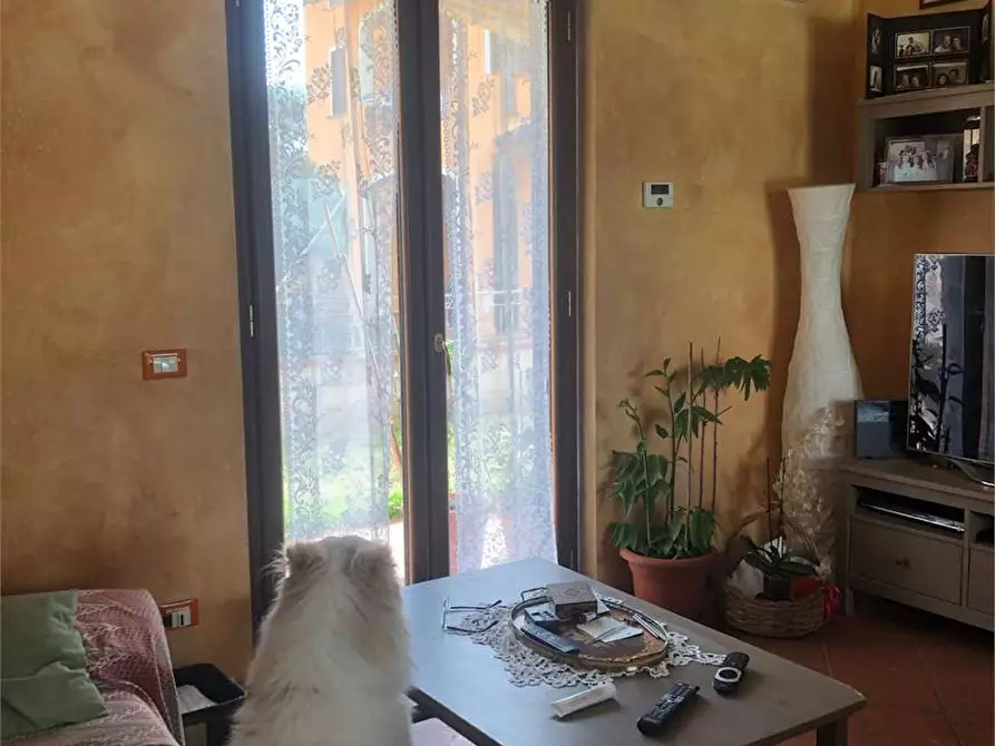 Immagine 10 di Villa in vendita  in via romana 33 a Capannori