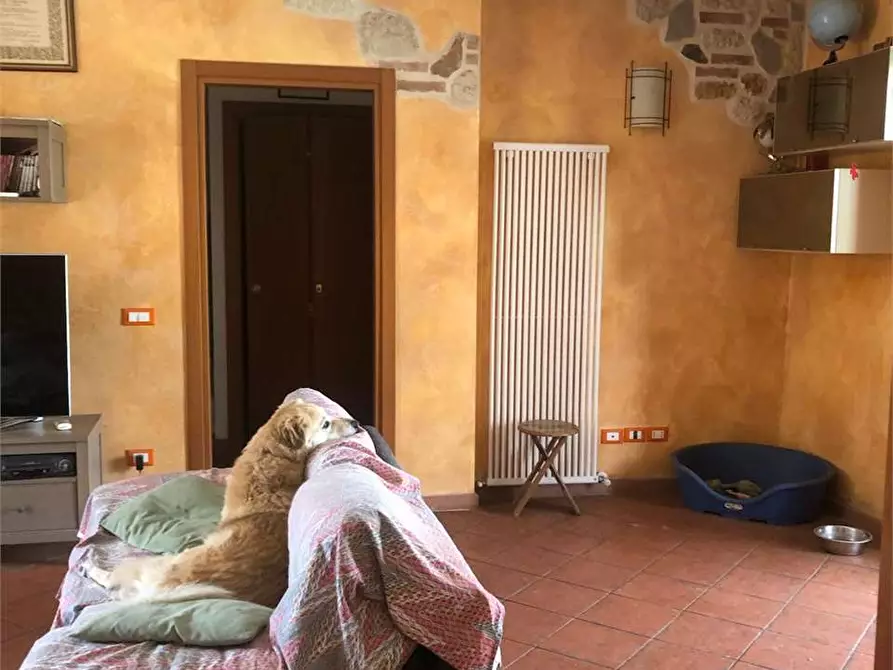 Immagine 11 di Villa in vendita  in via romana 33 a Capannori