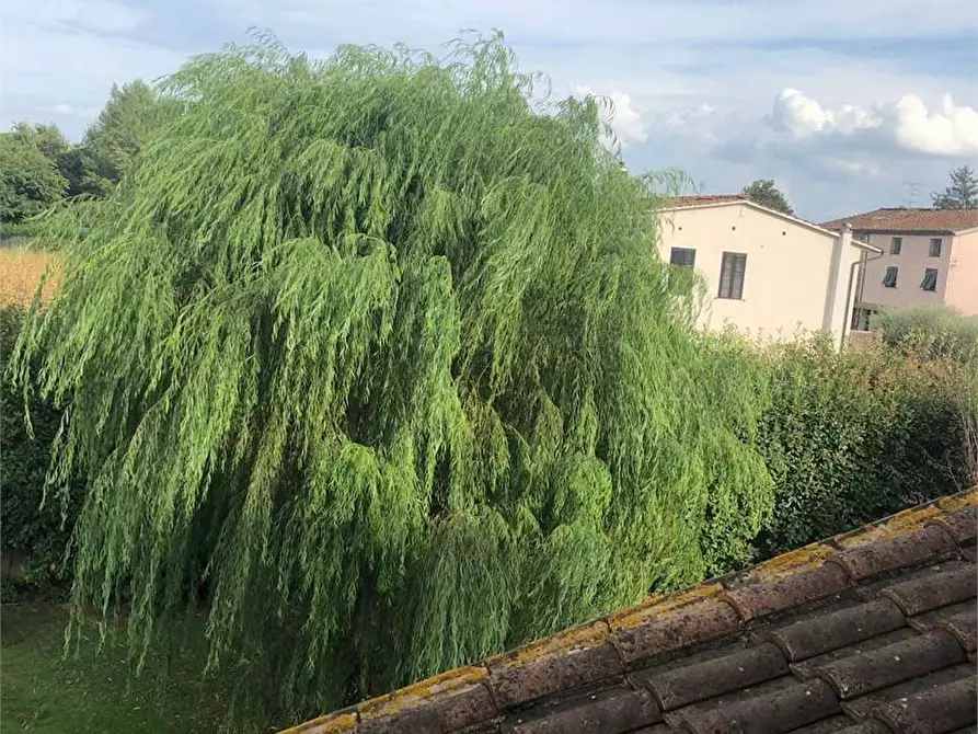 Immagine 27 di Villa in vendita  in via romana 33 a Capannori