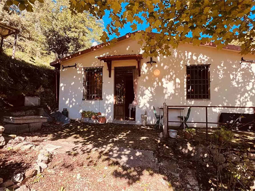 Immagine 1 di Casa indipendente in vendita  in Barga a Barga