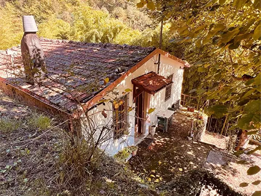 Immagine 3 di Casa indipendente in vendita  in Barga a Barga