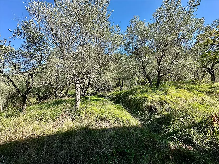 Immagine 35 di Villa in vendita  in Via di Mastiano e Gugliano 2138 a Lucca