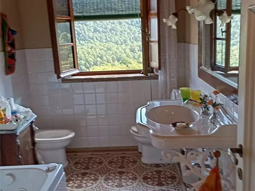 Immagine 15 di Rustico / casale in vendita  in colled i compito a Capannori