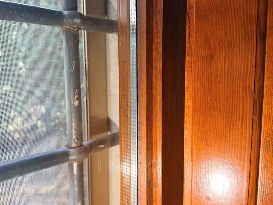 Immagine 22 di Rustico / casale in vendita  in tofori a Capannori