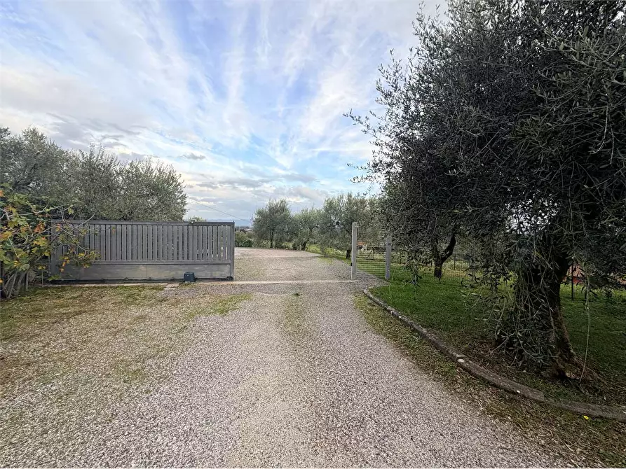 Immagine 3 di Rustico / casale in vendita  in tofori a Capannori
