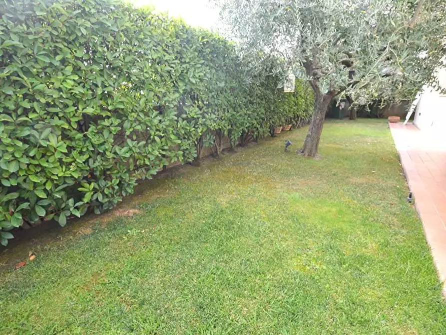 Immagine 2 di Villetta a schiera in vendita  in capannori a Capannori