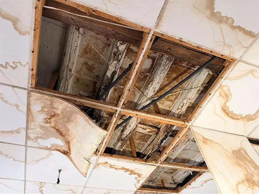 Immagine 16 di Porzione di casa in vendita  in Capannori - Lunata a Capannori