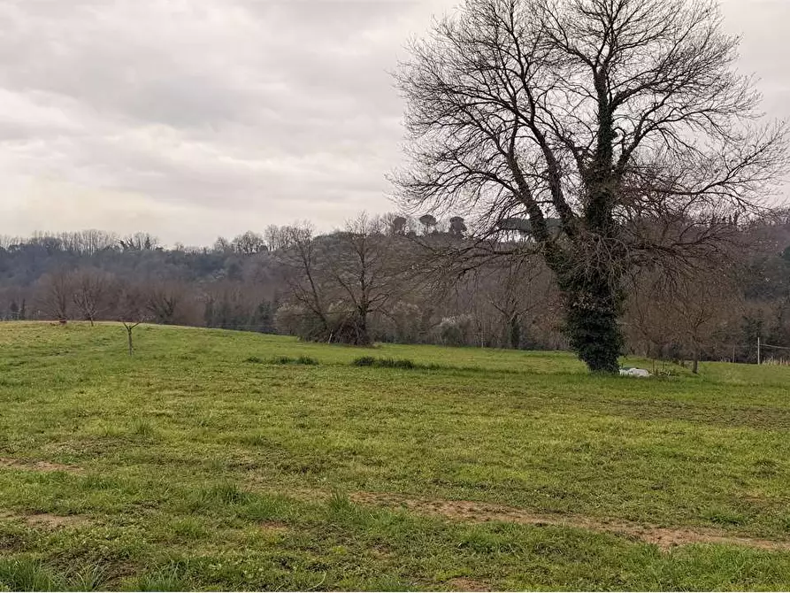 Immagine 41 di Rustico / casale in vendita  in gragnano 1 a Capannori