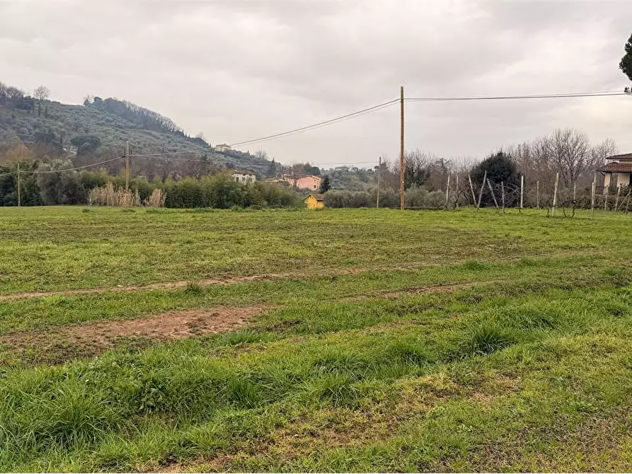Immagine 42 di Rustico / casale in vendita  in gragnano 1 a Capannori