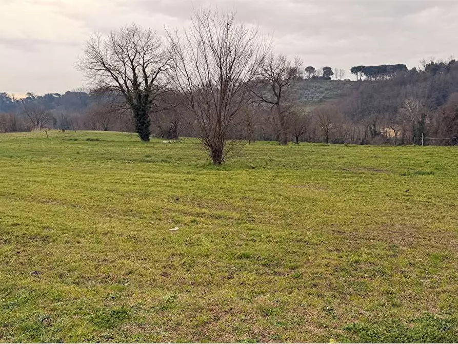 Immagine 44 di Rustico / casale in vendita  in gragnano 1 a Capannori