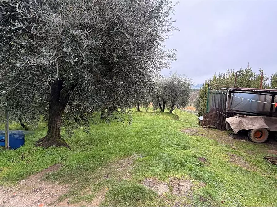 Immagine 5 di Porzione di casa in vendita  in via cercatoia alta a Montecarlo