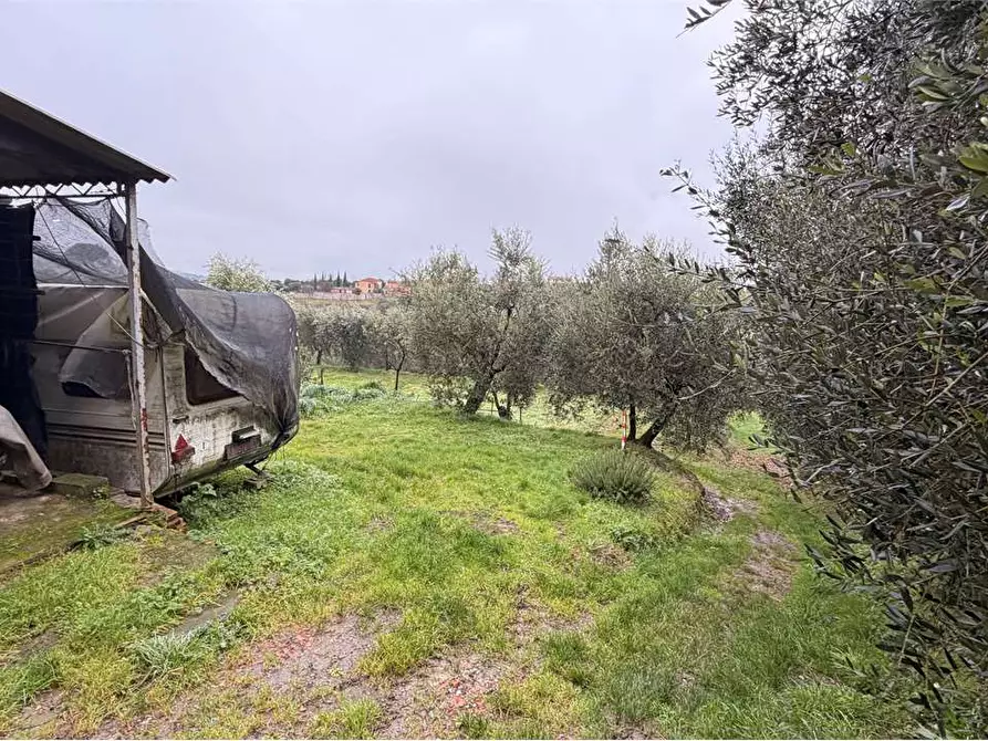 Immagine 6 di Porzione di casa in vendita  in via cercatoia alta a Montecarlo